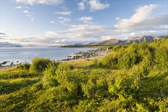 Coast near Lattervik