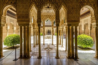 Court of the Lions is part of Nasrid Palaces of Alhambra palace complex
