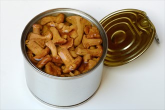 Pickled chanterelles