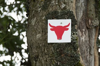 Red cow sign for walking