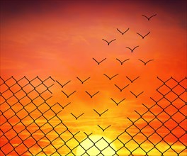 Metallic wire mesh magic transformation into flying birds over sunset sky background