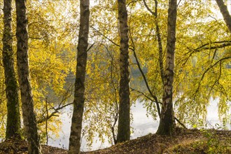 Autumn atmosphere at Lake Linden