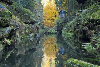 Autumn in the Edmundsklamm gorge with the river Kamenice