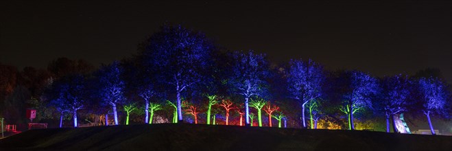 Autumn Lights in the Bridgehead Park