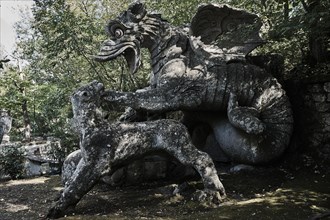 Dragon fighting with lion