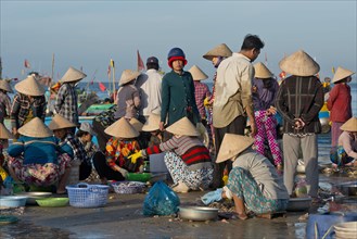 Women with straw hats on the beach with freshly caught fish and seafood