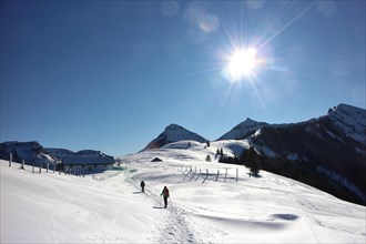 Snowshoe tour in wintry mountain landscape in fantastic weather