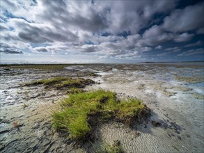 North Sea beach Hilgenriedersiel at low tide