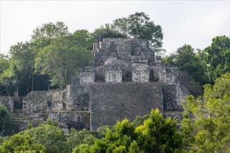 Unesco world heritage site Calakmul