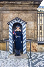 Polish guards at the portal of Prague Castle
