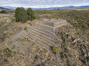 Aerial of the Mesoamerican archaeological site Cantona