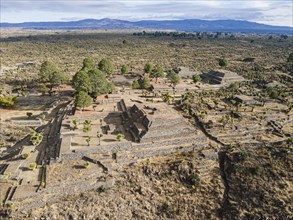 Aerial of the Mesoamerican archaeological site Cantona