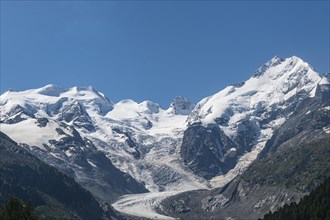 Piz Bernina and its glacier