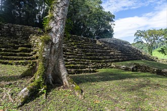 Archeological Maya site Yaxchilan in the jungle of Chiapas