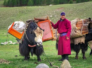 The nomadic family moves with yaks in the summer. Bayanhongor Province