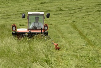 Farmer cutting grass with a tractor