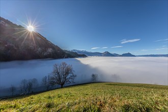 Sea of fog over the Vitznau region