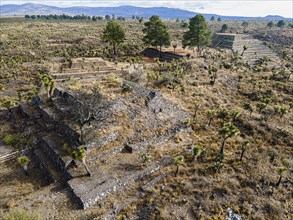 Aerial of the Mesoamerican archaeological site Cantona