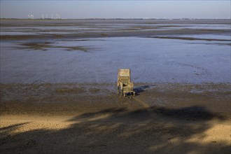 Emperor's throne with the title Emperor Butjatha in the mudflats