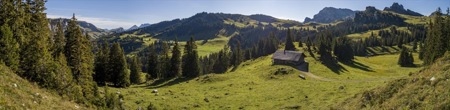 Alpine hut with well near Undergestele