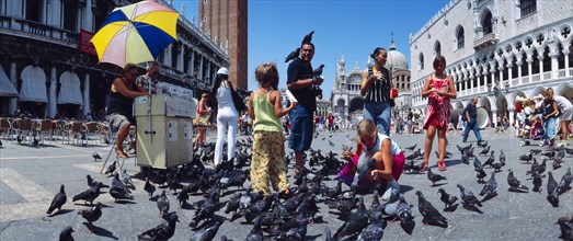 Children feeding pigeons