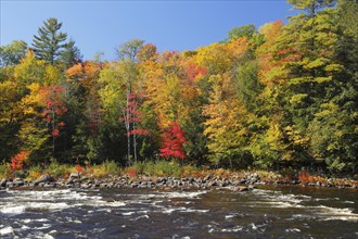 Red River in Autumn