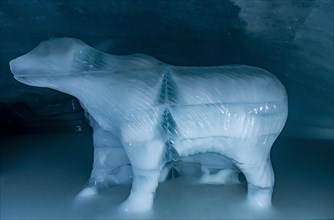 Phantasy sculptures in the Glacierworld