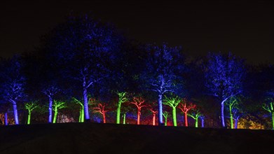 Autumn Lights in the Bridgehead Park