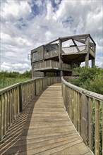Wooden walkway leading to 360 Observatory