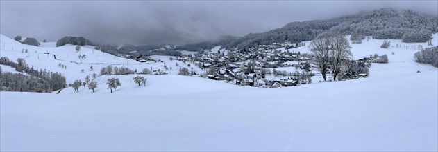 Snowy village view