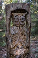 Eurasian Eagle-owl carved into a tree trunk in the Zauberwald Fichtenau-Wildenstein