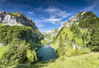 Mountain lake Faelensee