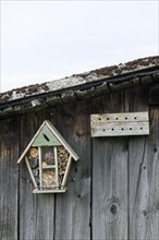 Insect hotel on a wooden wall
