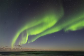 Aurora borealis in winter Scandinavian landscape