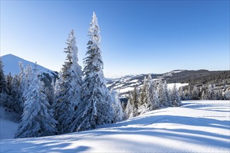 Snowy winter landscape on the Gurnigel Pass