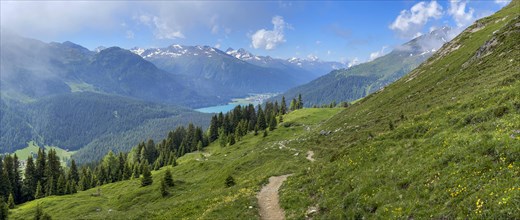 Panorama of green alpine pastures