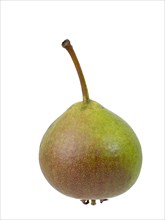 Pear variety Gruenmostler