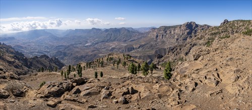 Landscape at Pico de las Nieves