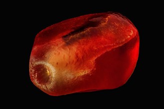 View of a pomegranate seed