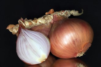 French Roscoff onions braided as a pigtail