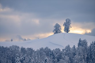 Winter landscape at Hirzel