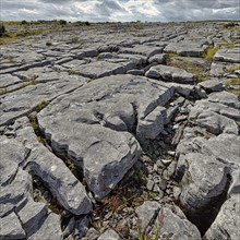 Bizarrely shaped limestone slabs on the hillside