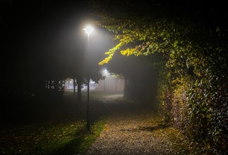 Street lamps illuminate the path in a park in Markt Swabia