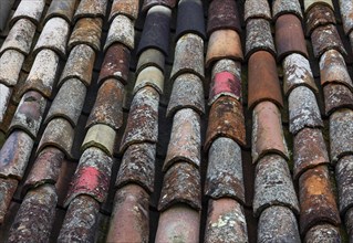 Old weathered different coloured roof tiles