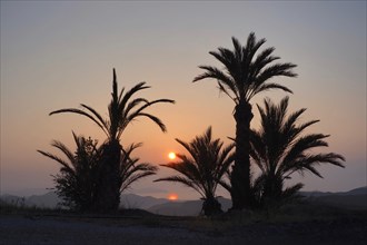 Sun reflected in the sea with palm trees at sunrise on the coast near San Juan de los Terreros