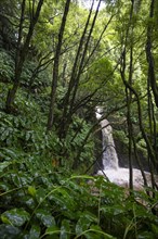 Hikers at the Salto do Prego waterfall