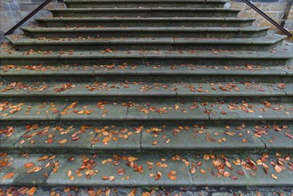 Autumn leaves on the historic staircase to the Diocesan Museum