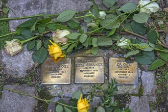 Roses on three memorial stones
