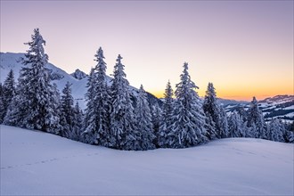 Snow-covered winter landscape on the Gurnigel Pass