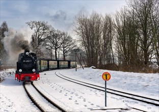 The historic railway Rasender Roland on the island of Ruegen